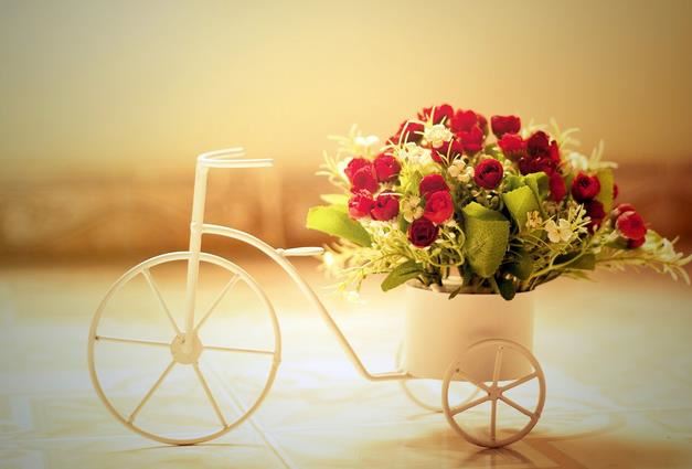 家居风水为何不吉利？了解家居风水原理,创建美好家居！