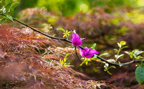 死后能找到阴间亲人吗?人死后还能认识亲人吗