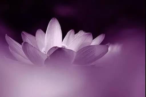 超度已故亲人不仅积累福报 有的还可改变命数