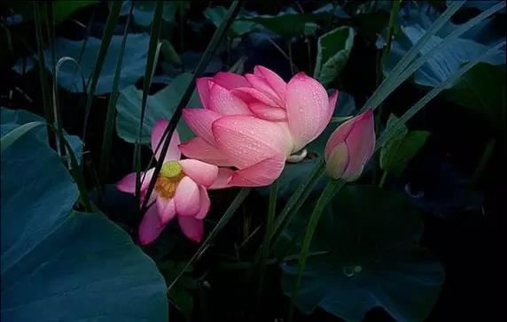 梦见自己死了？解梦大全告诉你背后隐含的含义！