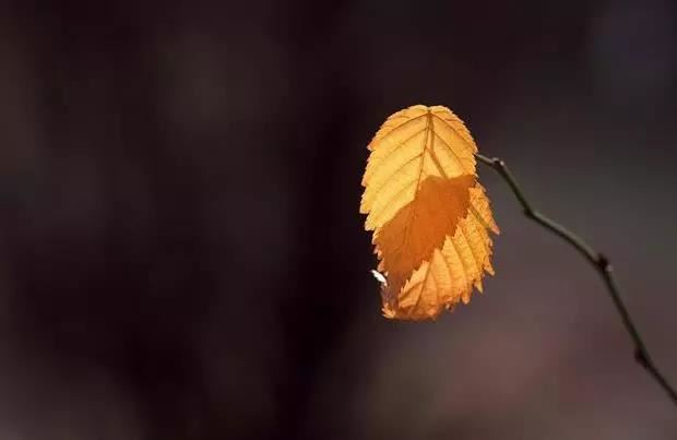 化解童子命换替身不成功的表现有很多