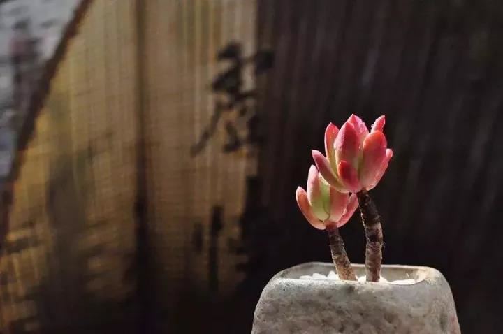 怎么知道自己有没有做和合术?和合术视频给出真