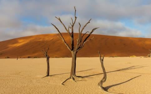 算命说身上有婴灵会一直倒霉 这才是最佳化解方