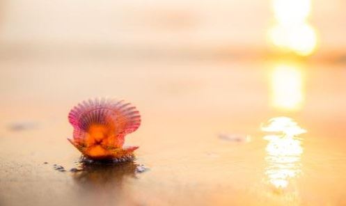 童子命最难过的关口是在这一年 最好在那之前化