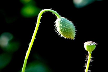 人死后如何化解亡灵 民间的这一习俗往往暗藏深意