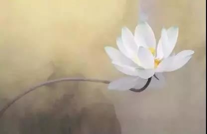 装修房子吉日的选择 也要结合主人的八字生辰看