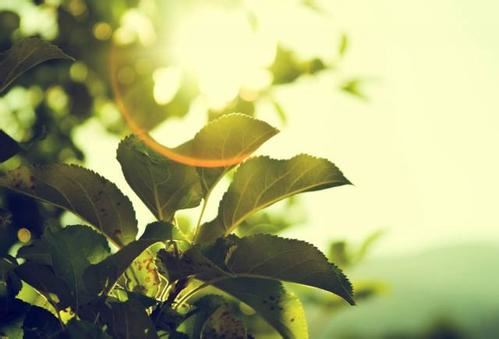 超度走的婴灵母亲有什么反应，真实超度经历