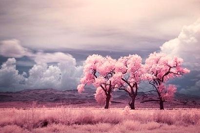 做一场法事收费多少