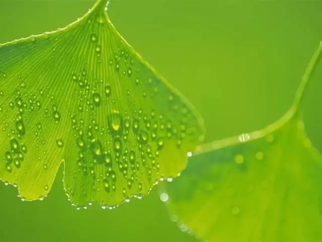 还阴债到底有没有用？消除业障有多大帮助？