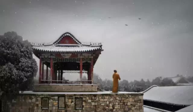 为什么佛说童子命好？什么是童子命