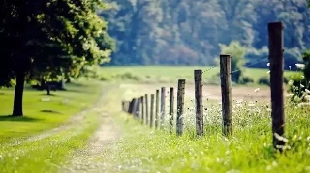 看高情商的人如何挽回婚姻