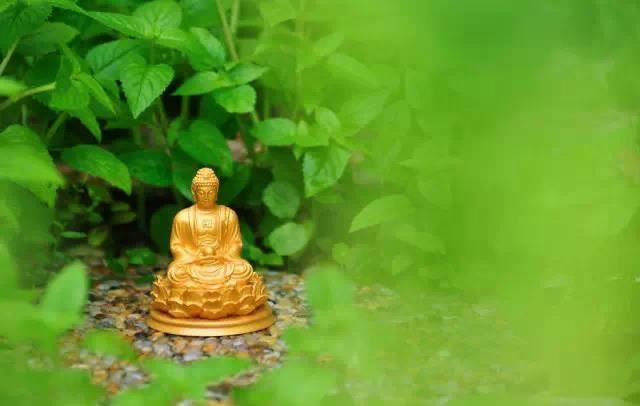 和合术什么情况下失效 想知道这个问题的答案就