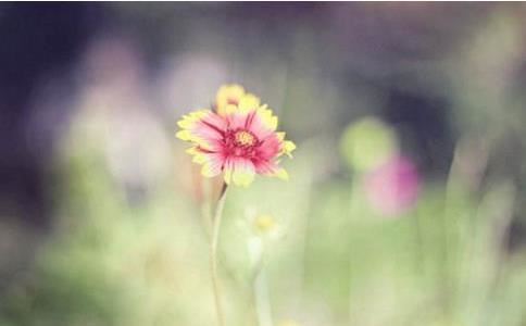 缓和婆媳关系，看这几个妙招