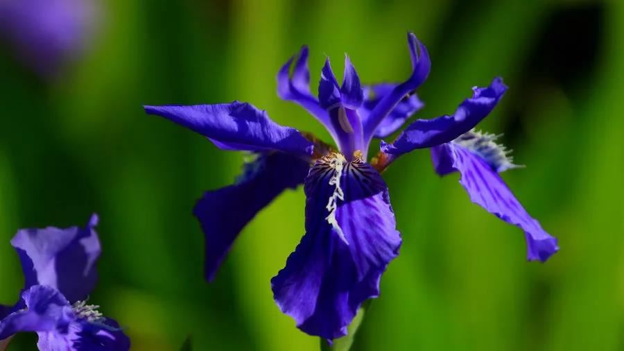 道教宫观神像开光介绍以及开光程序要领