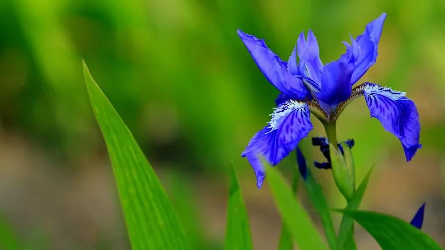 哪些星座说话不经大脑最易伤人于无形