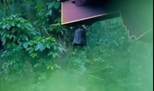 道教神宵玉府咒，神宵玉府咒咒语