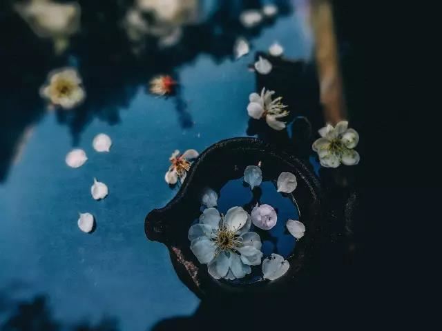 梦见自己被追？解析梦境含义和心理暗示