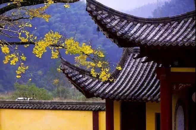 在下午还阴债可以吗？|重磅揭秘阴阳师还阴债成功率和时间选择