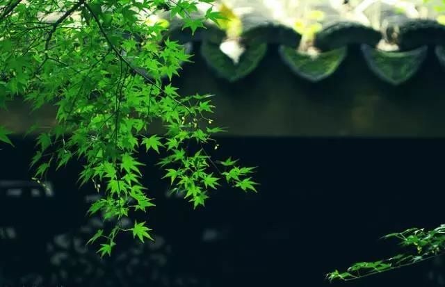 补财库法事最适合哪些人？有着什么好处