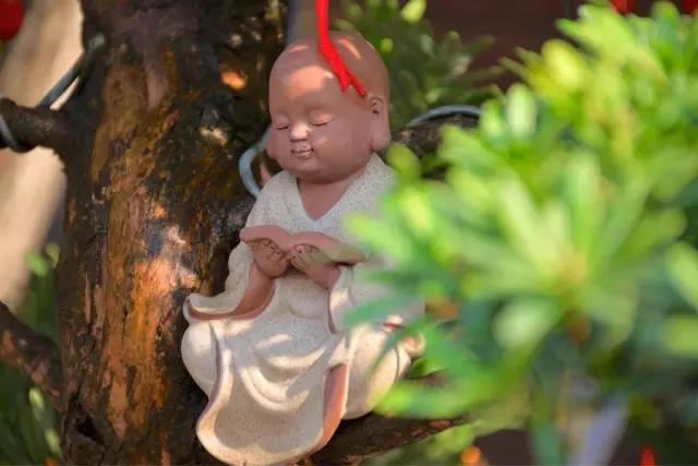 家居装修避坑指南|家装风水禁忌常识