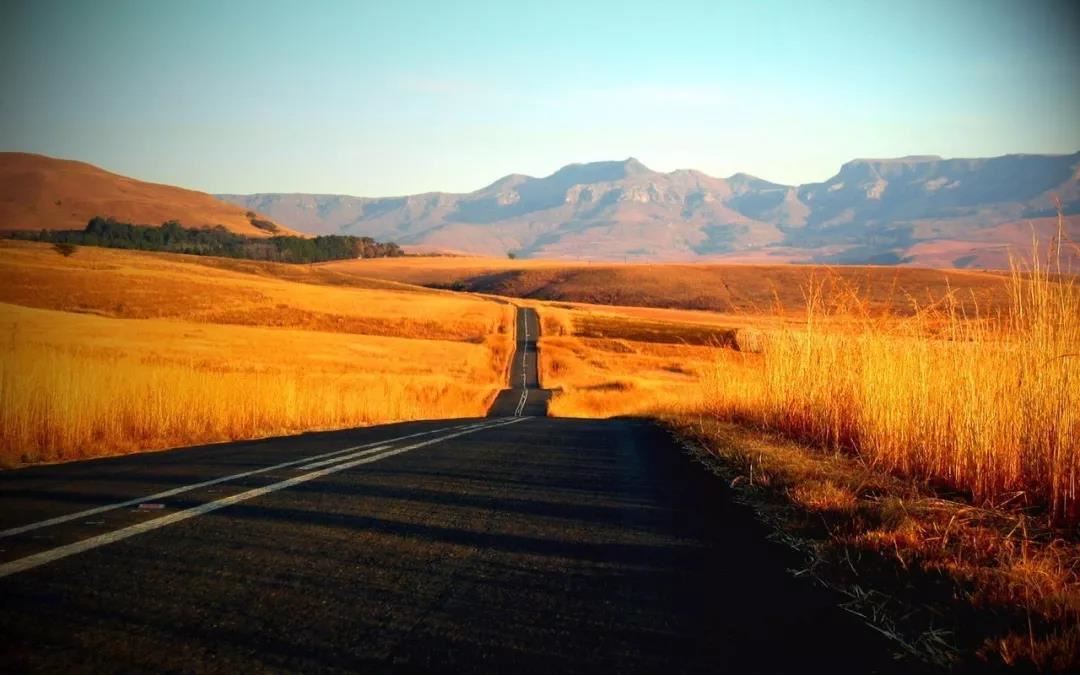 八字命盘查询,如何充分利用八字命理改善人生运势？