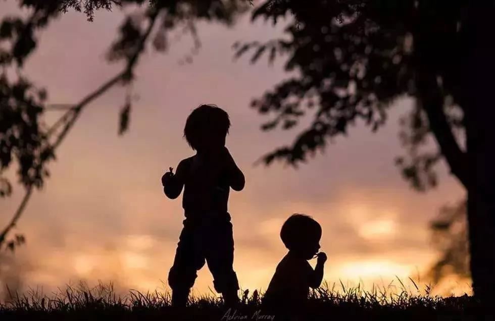 梦到熊如何解读梦境中的神秘信号？