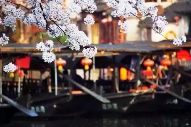 我请道长超度前男友  终于摆脱了噩梦