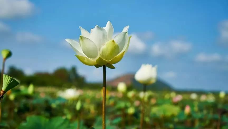 怎么处理好人际关系与交往，社交恐惧症赶紧来看，你要的都在这里