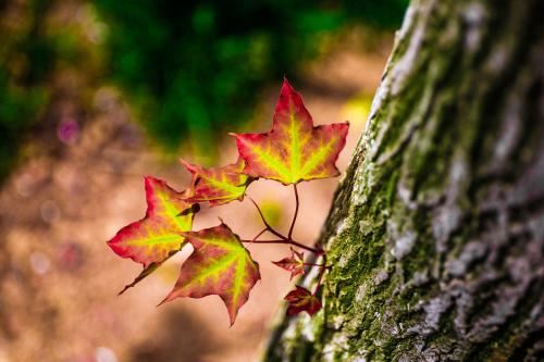 请和合符对方感觉到吗？让和合专家为你解答
