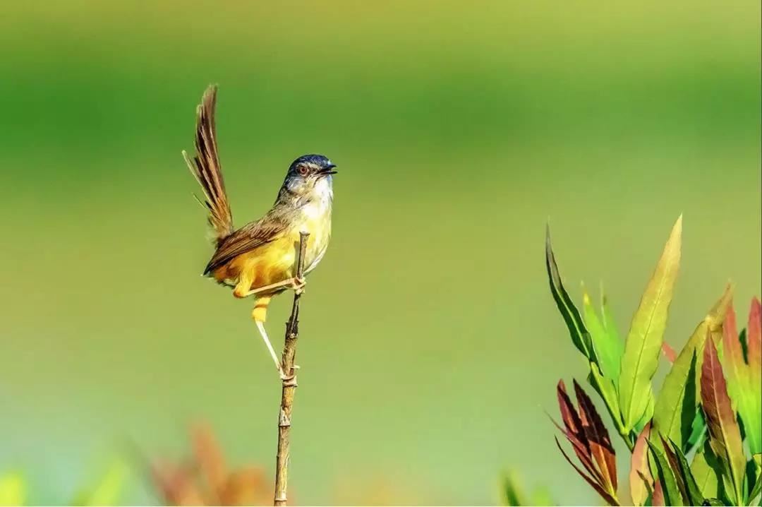 道教法事有哪些?