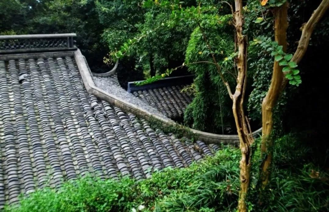 挽回老婆的步骤和方法 男人挽回老婆的神奇良药