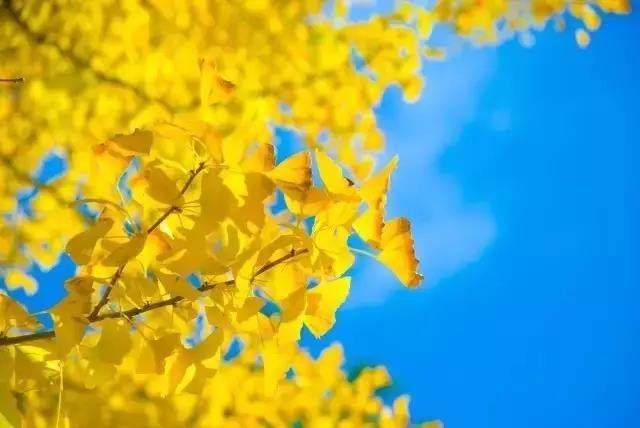 入住新居后久病不愈,是因为布局出现问题