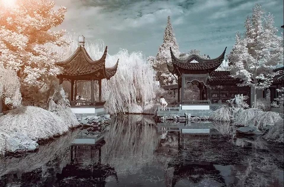 我是1999年属的是什么命