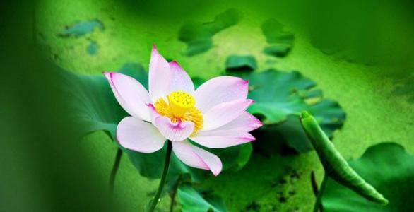 婆媳相处技巧，这2个技巧要牢记