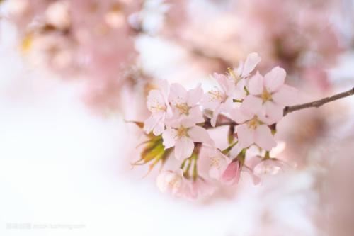 订婚女方禁忌 这些事情不要随便做