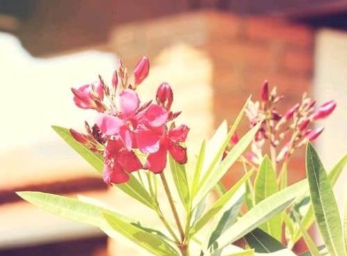 道教法事详细介绍