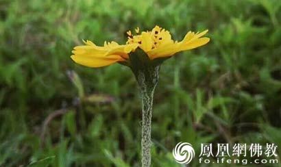 孩子死后变成婴灵会保护妈妈吗 是你想得太美好