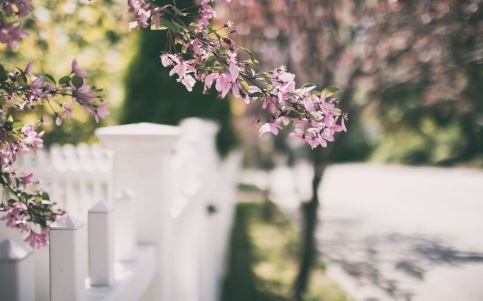 女子超度后做怪梦寓意为何？