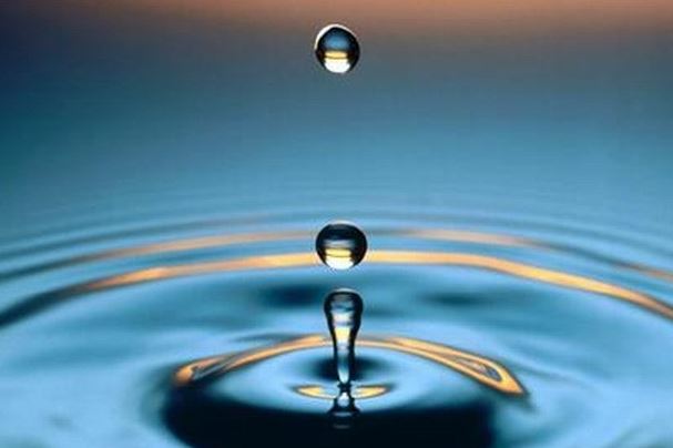 怎样给猫超度 让它下辈子投胎做个好猫咪