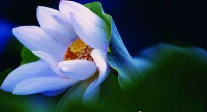 打胎以后不超度堕胎婴灵会怎样？