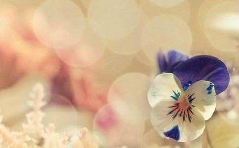 堕胎太多 好不容易怀孕却流产 失去儿子是因果报应吗