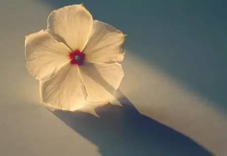 爱情和合符 轻松成就姻缘