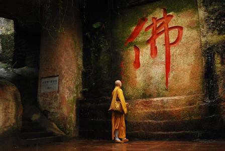 家中出现了蜘蛛 到底有着什么样的风水寓意