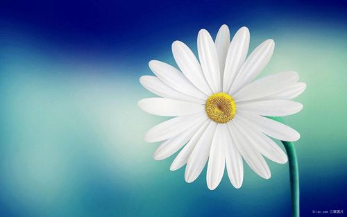 做梦梦见喜欢的人,是什么意思？解梦大师为你分析！