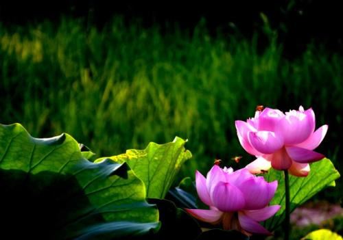 堕胎的果报骗局，堕胎婴灵是真是假