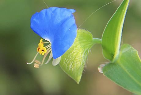 关于挽回分手的女友小知识 帮你重获幸福的爱情