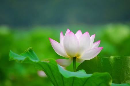 请来的符咒可以贴墙上吗 不同的符咒用的方法也不同