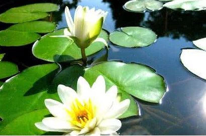 堕胎5次为什么只看到2个婴灵,堕胎过两次,那这两