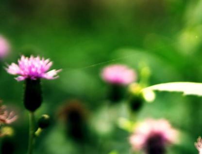 真童子命怎么分辨？童子命是如何来的