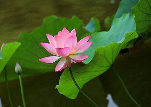 还阴债能信吗？一位阴阳先生告诉你真相！